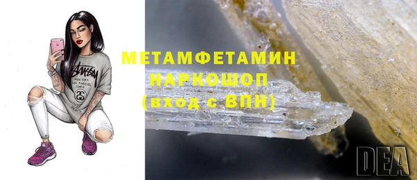 индика Новокубанск