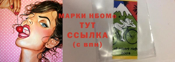 индика Новокубанск