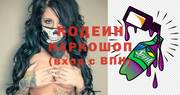 индика Новокубанск