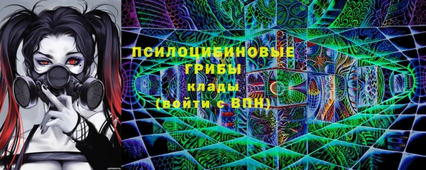 индика Новокубанск