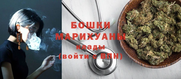индика Новокубанск