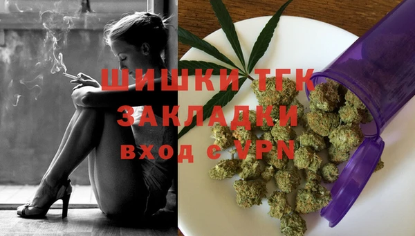 индика Новокубанск