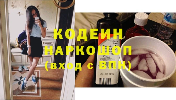 гидра Нея