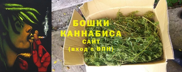 метадон Новодвинск