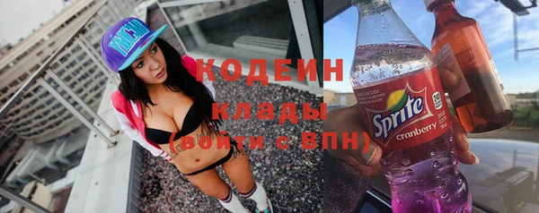 индика Новокубанск