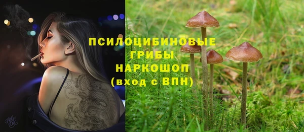 PSILOCYBIN Зеленокумск