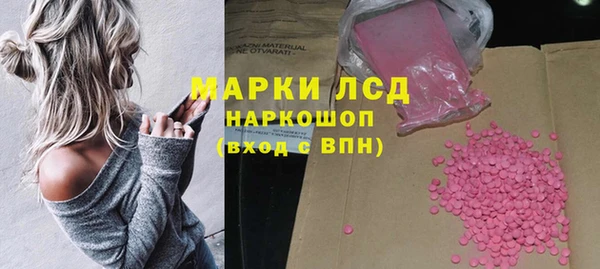 индика Новокубанск