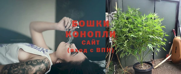 PSILOCYBIN Зеленокумск