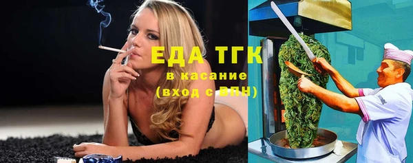 индика Новокубанск