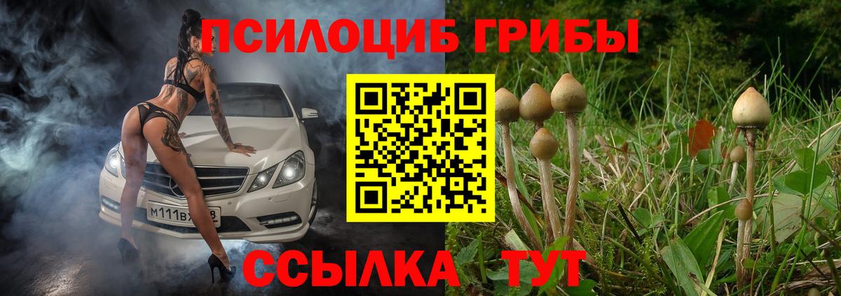 Галлюциногенные грибы прущие грибы Родники